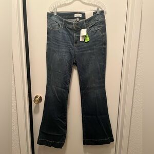 Lane Bryant Dark Blue Flare Jeans